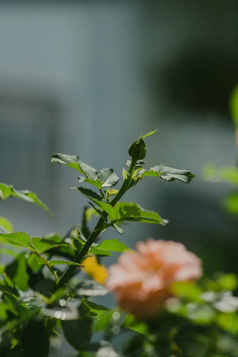 翠庭造園株式会社 9